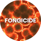 fongicide-mobiwatch
